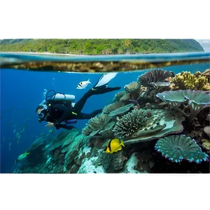 Island Scuba Diving Excursion Png Ypo PNG image