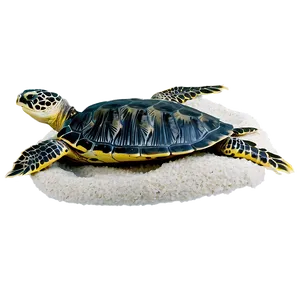 Island Sea Turtle Nest Png 05232024 PNG image