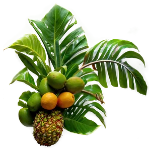 Island Tropical Fruit Harvest Png 05232024 PNG image