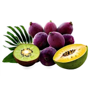 Island Tropical Fruit Harvest Png 68 PNG image