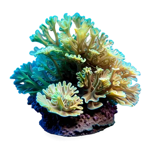 Island Underwater Coral Garden Png 21 PNG image