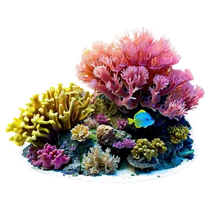 Island Underwater Coral Garden Png Cae PNG image