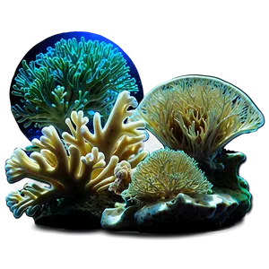 Island Underwater Coral Garden Png Spw PNG image