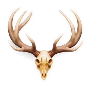 Isolated Antler Emblem PNG 61