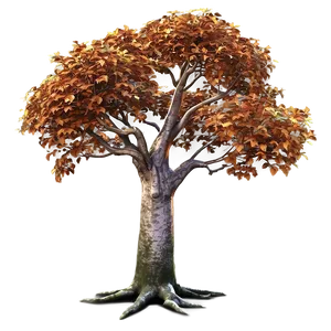 Isolated Autumn Tree PNG Ihg PNG