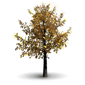 Isolated Autumn Tree PNG Uys PNG