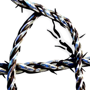Isolated Barbwire PNG 05252024
