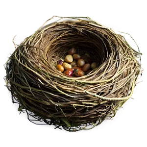 Isolated Bird Nest Png 06212024 PNG image