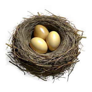 Isolated Bird Nest Png Lec10 PNG image