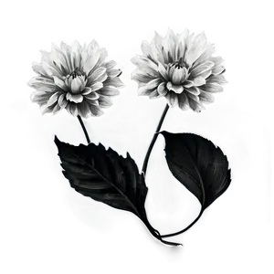 Isolated Black And White Flowers PNG 45 PNG