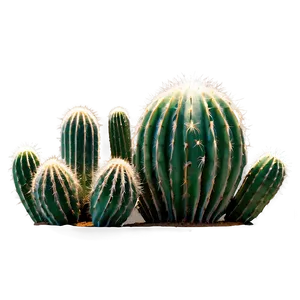 Isolated Cactus Png Dkl36 PNG image