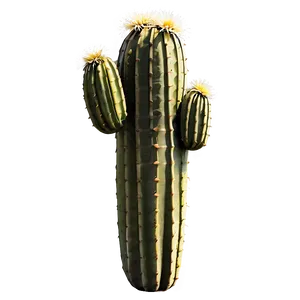 Isolated Cactus Png Fbg69 PNG image