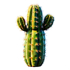 Isolated Cactus Specimen PNG Ply PNG