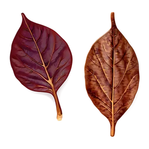 Isolated Fall Leaf Png 75 PNG image