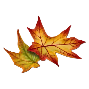 Isolated Fall Leaf Png Nfd20 PNG image