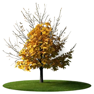 Isolated Fall Tree Png Hie73 PNG image