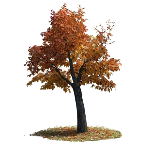 Isolated Fall Tree Png Kvt87 PNG image