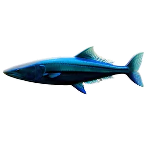 Isolated Fin Png 06272024 PNG image