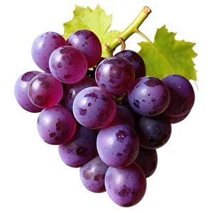 Isolated Grape Picture Png 06292024 PNG image