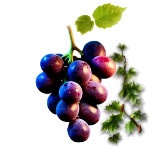 Isolated Grapes PNG 6 PNG