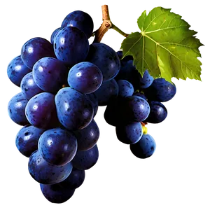 Isolated Grapes PNG 74 PNG