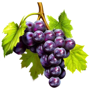 Isolated Grapes PNG Gji73 PNG