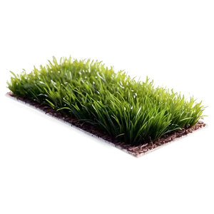 Isolated Grass Patch Png 06212024 PNG image