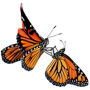 Isolated Monarch Butterflies Png 06252024 PNG image