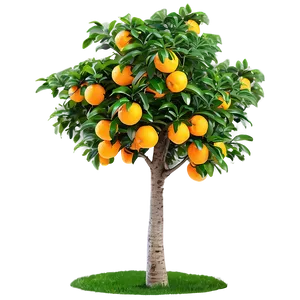 Isolated Orange Tree PNG Nvt
