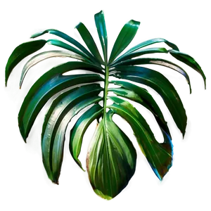Isolated Palm Leaves PNG 62