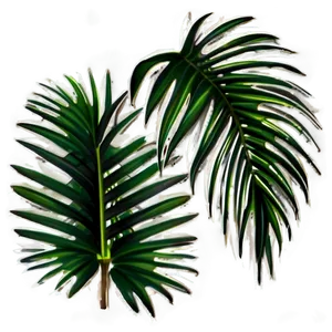 Isolated Palm Leaves PNG Qpf