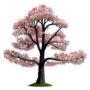 Isolated Single Sakura Tree Png 61 PNG image