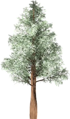 Isolated Treeon Black Background