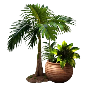 Isolated Tropical Plants PNG 06252024