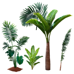Isolated Tropical Plants PNG 86