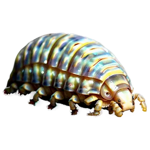 Isopod Collection PNG 80