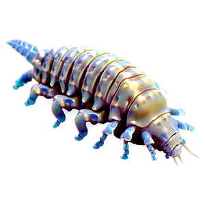 Isopod On Seabed Png 44 PNG image