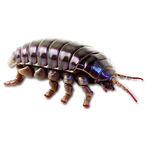 Isopod Transparent Background Png 9 PNG image