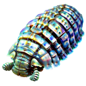 Isopod Underwater Png Mmx PNG image