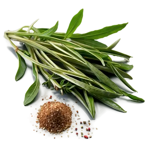 Italian Herb Seasoning Png 36 PNG image