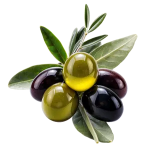 Italian Olive Oil Png 37 PNG image