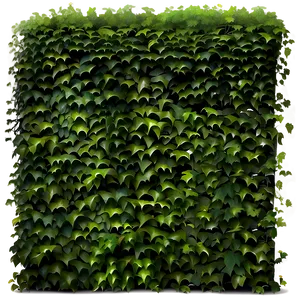 Ivy Covered Wall PNG 99