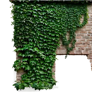 Ivy Covered Wall PNG Rxj72