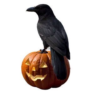Jack O Lantern With Crow PNG Eoa