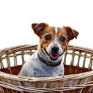 Jack Russell In Basket PNG 91 PNG