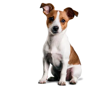 Jack Russell On Adventure PNG Owi PNG