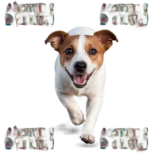 Jack Russell On Adventure PNG Qcv97 PNG