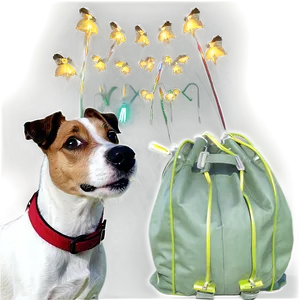 Jack Russell On Walk Png 06292024 PNG image