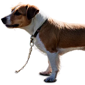 Jack Russell On Walk PNG 62 PNG