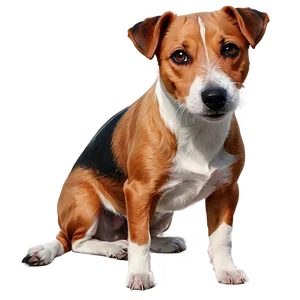 Jack Russell Terrier Illustration PNG Fmp PNG